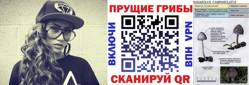 Галлюциногенные грибы прущие грибы  как найти закладки  Бахчисарай 